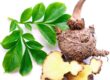 Glucomannan Wissen | Goerlich Pharma