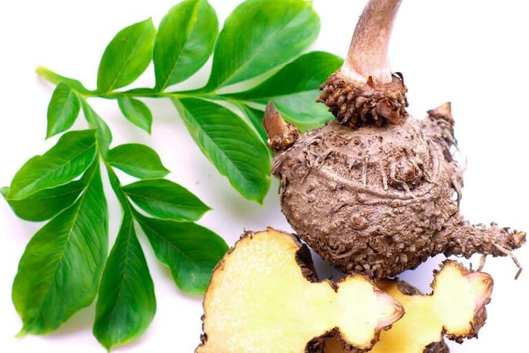 Glucomannan Wissen | Goerlich Pharma