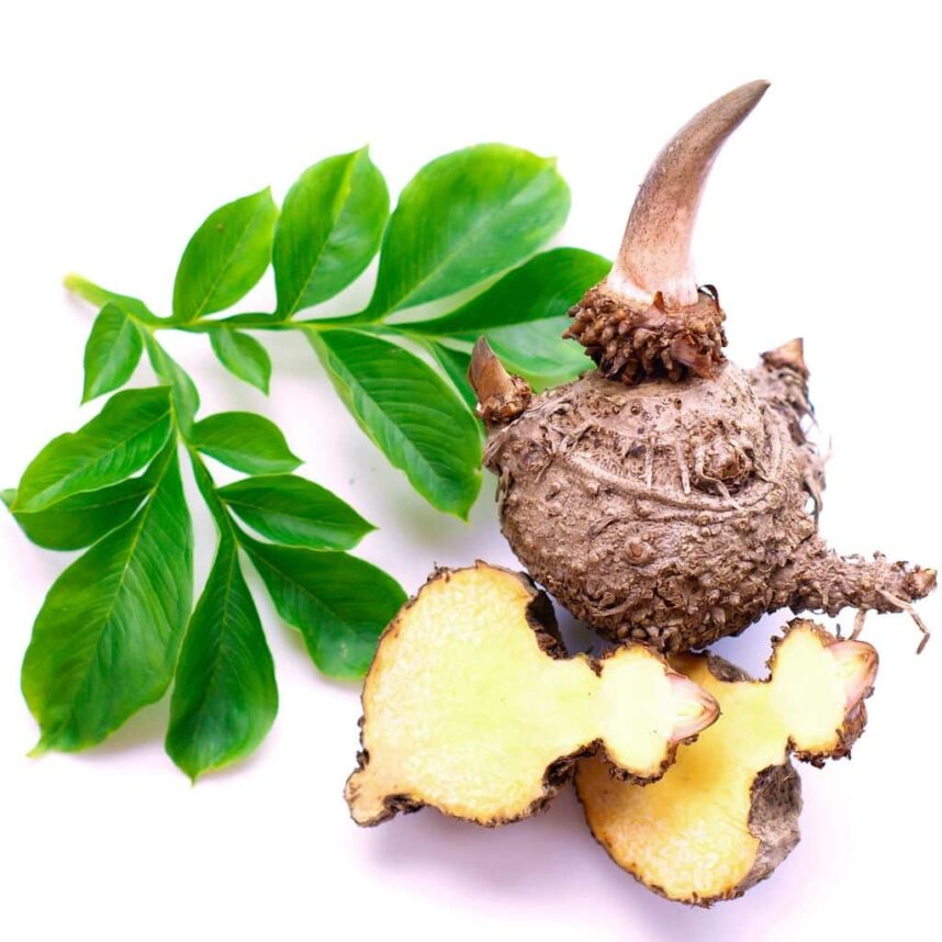 Glucomannan Wissen | Goerlich Pharma