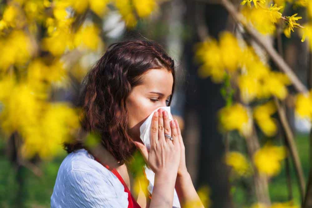 Heuschnupfen & Probiotika | Wissen | Goerlich Pharma